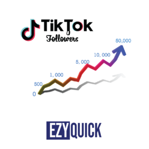Tik Tok 1.000 Followers High Quality Full warranty global